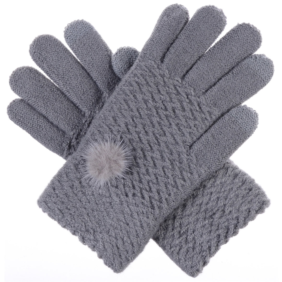 7702 - One Dozen Ladies Texting Glove